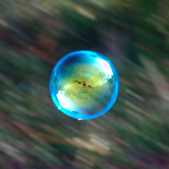 Autoportrait dans une bulle de savon glissant au vent.
Le diaphragme à f/5,6 a permis de de réduire la vitesse pour le filé d'arrière plan produit en suivant la bulle.
bulle.jpg