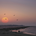 Un beau matin aux pays bas