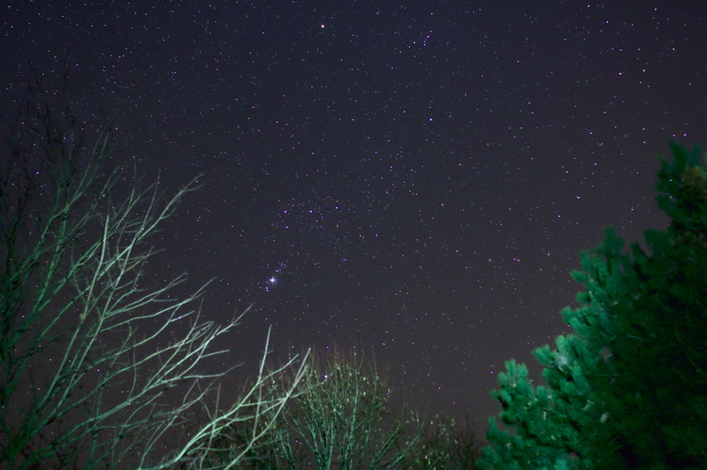 La constellation d'orion se dresse au dessus des branches éclairées au passage d'un petit coup de lampe torche.
bota.jpg
