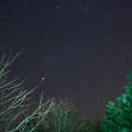 Orion dfans les arbres