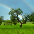 Colours