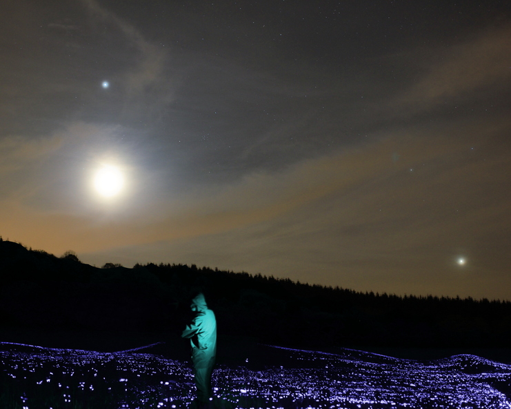 Dans un ciel bien voilé, le rapprochement de la Lune, Jupiter et Vénus. Le personnage au premier plan est éclairé à la loupiote, le sommet des hautes herbes au laser.
ordolaz.jpg