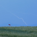 Seul sous l'orage