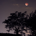La lune de sang